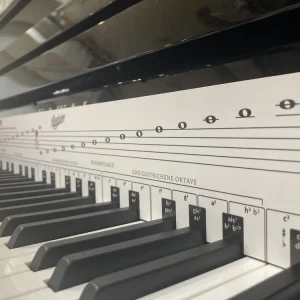 Klaviatur - Display Notensystem Echt