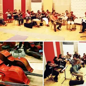 Jetzt Kaufen VSL Appassionata Strings I Full (Instruments Collection)