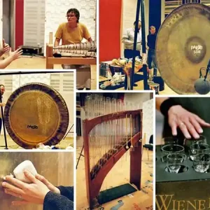 VSL Elements Full (Instruments Collection) Kostenloser Versand