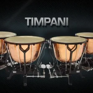 Begrenztes Angebot VSL Timpani Standard (Single Instruments)