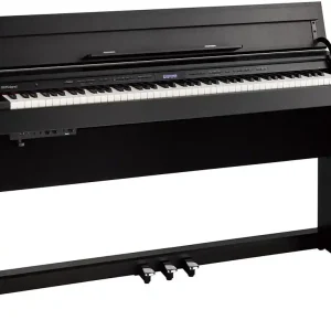 Roland DP603 CB Expressversand