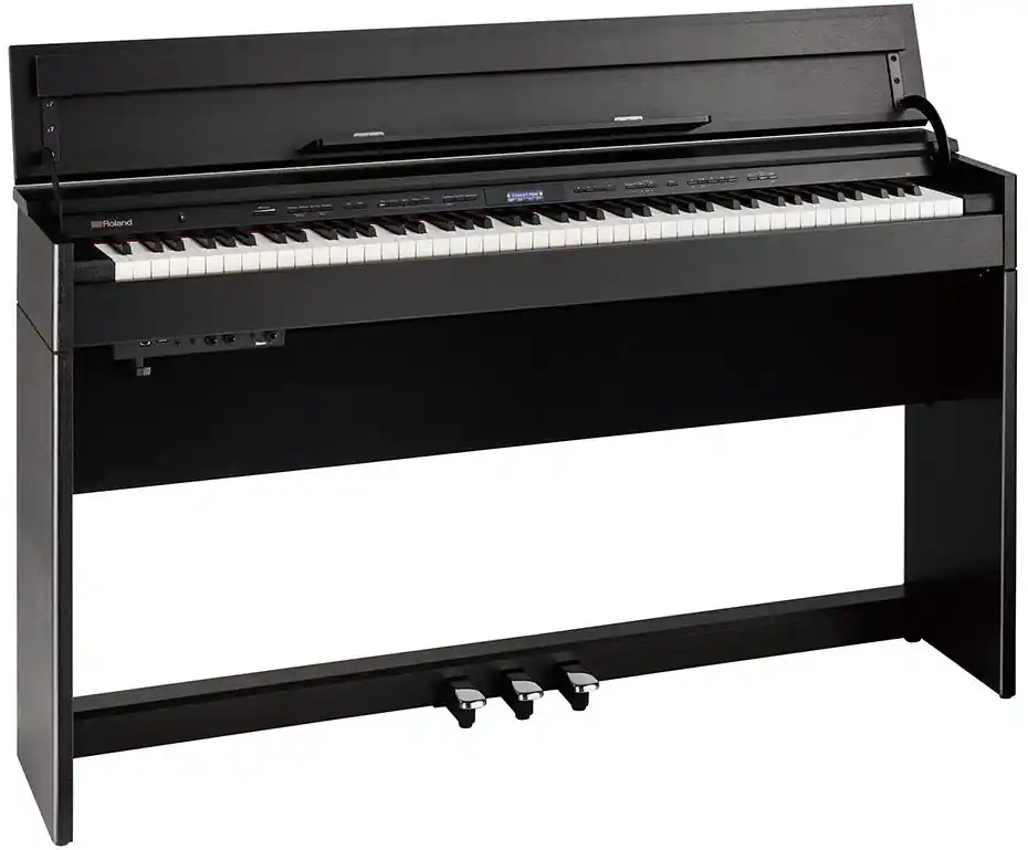 Roland DP603 CB Expressversand