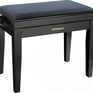 Roland RPB-220PE Abverkauf