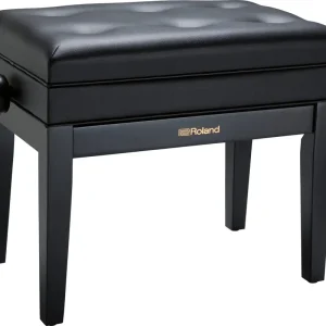 Begrenztes Angebot Roland RPB-400BK