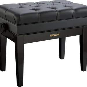 Echt Roland RPB-500PE