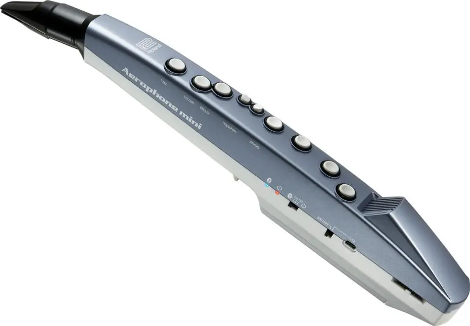 Roland AE-01 Aerophone-mini Digital Wind Inst Mega-Angebot