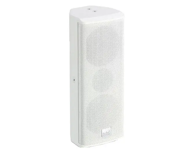 LD-Systems SAT-242W-G2 2x4" 2-Weg Installationsbox, weiss Wochenendangebot