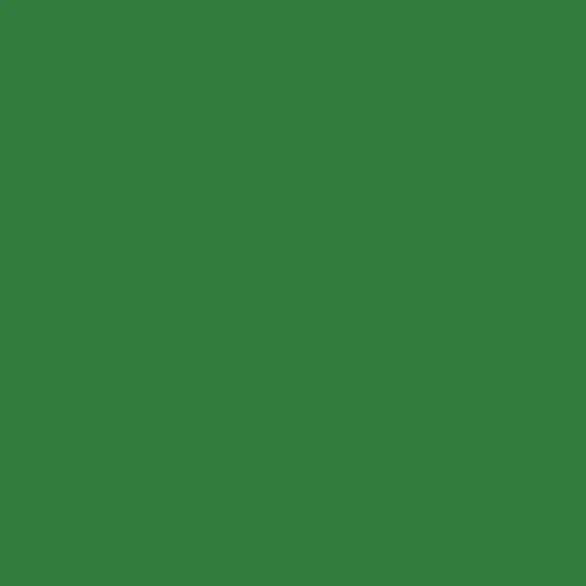 Cotech Color Sheet 089 Moss Green Abverkauf