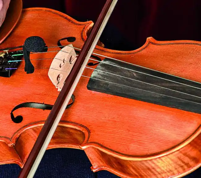 Billig Prodipe VL21 Lanen Violin & Alto