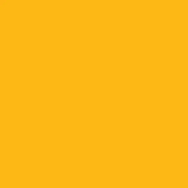 Nur Heute Cotech Color Roll 223 1/8 CT Orange