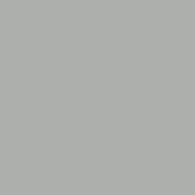Kostenloser Versand Cotech Color Sheet 225 Neutral Density Frost