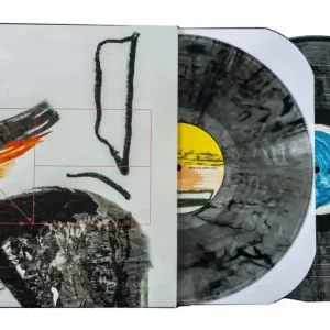 Ausverkauf Serato Control-Vinyl Nick Hook
