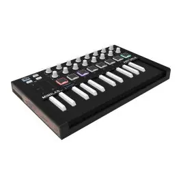 Arturia MiniLab MkII Inverted Versand Am Gleichen Tag