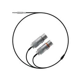 Field Audio Cable 3.5mm to 2 x XLR Highlight