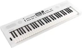 Roland GO:KEYS 5 WH Aktuell
