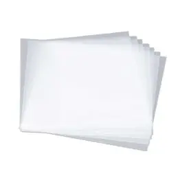 Reloop Premium 12“ Vinyl LP Outer Sleeves (100 pcs.) Top-Angebot