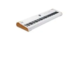 Arturia AstroLab 88 Expressversand