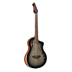 Meistverkauft Ortega RTPG-LS1 Tourplayer Grand Chamber