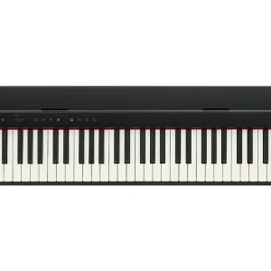 Expressversand Roland GO:Piano 88 Digital Piano PX