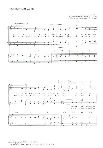 Abschied vom Walde für gem Chor und Orgel Markenware