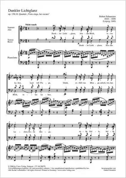 Dunkler Lichterglanz op.138,10 für SATB (oder gem Chor) und Klavier Heißes Angebot