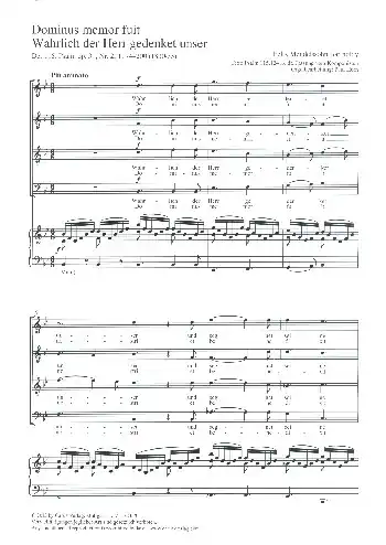 Finale Aktion Wahrlich der Herr gedenket unser op.31,2 für gem Chor und Orgel