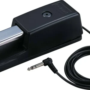 Roland DP-10 Fußpedal und Systainpedal Schnäppchen