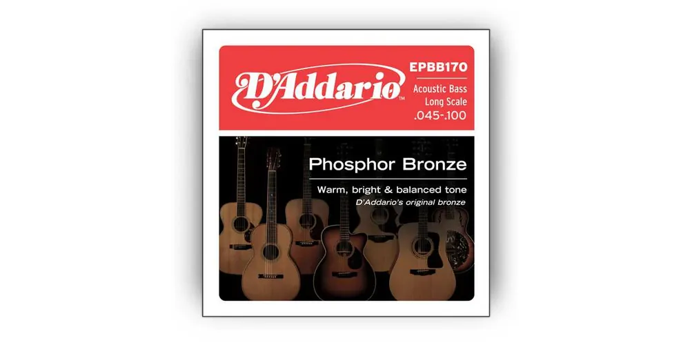 Kostenloser Versand D'Addario EPBB-170 Akustik Bass Saiten 45-100