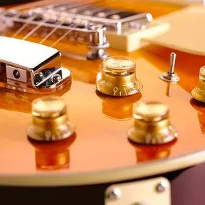 Hagstrom Super Swede VS E-Gitarre Online Kaufen