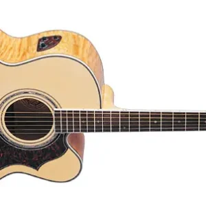 Direkt Vom Hersteller Washburn J-28 SCEDL-N Westerngitarre Jumbo