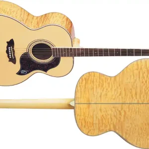 Washburn J-28 SDL-N Westerngitarre Jumbo Top-Preis