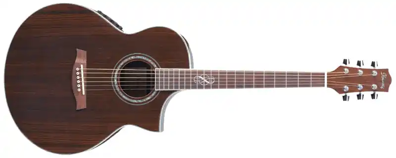 Ibanez EW-20 WNE NT Westerngitarre Geprüft