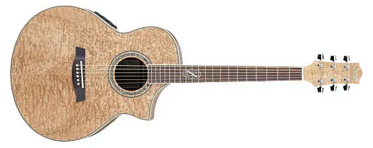 Ibanez EW-20 ASE NT Westerngitarre Neuheit