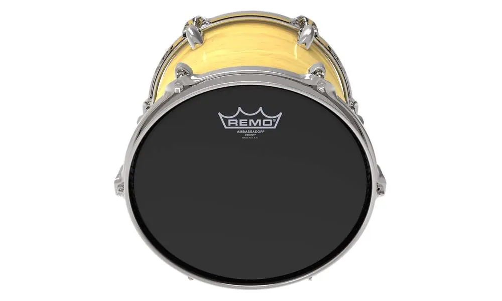 Must-Have Remo Ambassador Ebony 10"