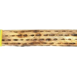Gewa Regenmacher 50cm Neuheit
