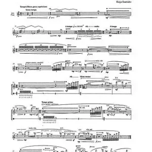 Garantierte Lieferung Couleurs du vent for alto flute