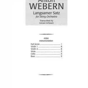 Langsamer Satz for string orchestra Direktkauf
