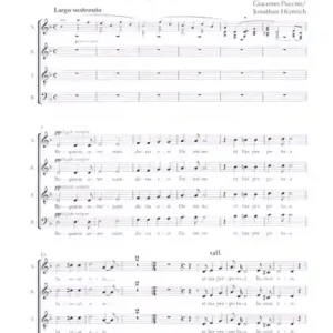 Abverkauf Piccola messa da requiem für Viola, Bariton, gem Chor und Harmonium/Orgel