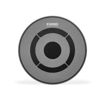 Neue Ware Evans dB One 12" TT