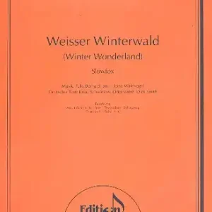 Sofort Bestellen Weißer Winterwald für Akkordeon- Orchester