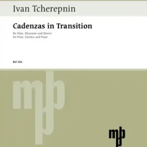 Cadenzas in Transition für Flöte, Klarinette und Klavier Schneller Versand