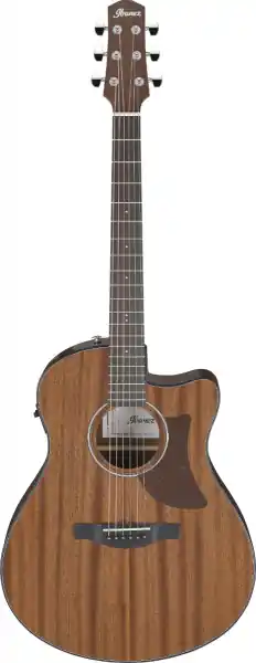 Ibanez AAM54CE-OPN Schneller Versand