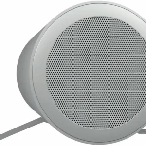 Neuheit Pöschel RL-7 ELA-Soundprojektor, dipol
