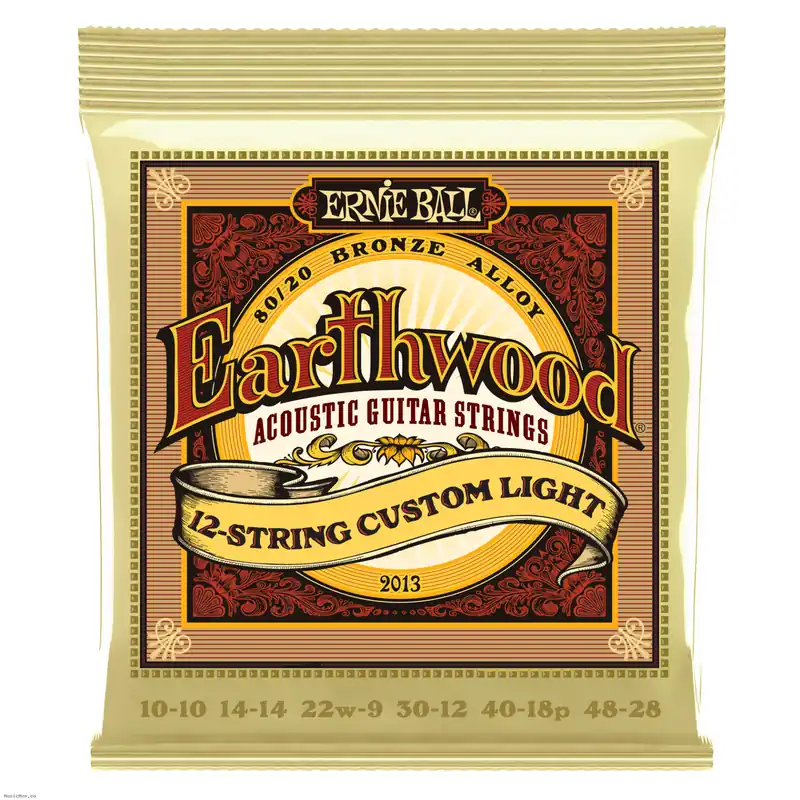ERNIE BALL 2013 EARTHWOOD 8020 BRONZE 10-48 12-saiter Gitarrensätze für akustische Gitarre Beliebt