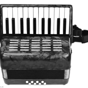 Highlight GOLDENCUP JP2208 22 KEY 8 BASS MONO 8B Blk Kinderakkordeon