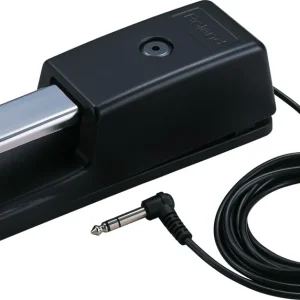 ROLAND DP-10B Sustain Pedal Must-Have
