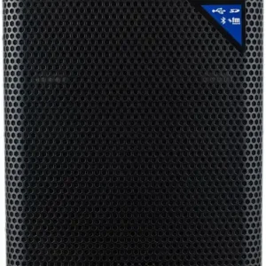 Echt ENLEMA APS12DSP 500W Aktives Lautsprecher