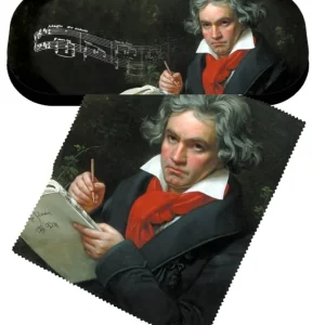 Zertifiziert Brillenetui Beethoven mit Putztuch BOE7839