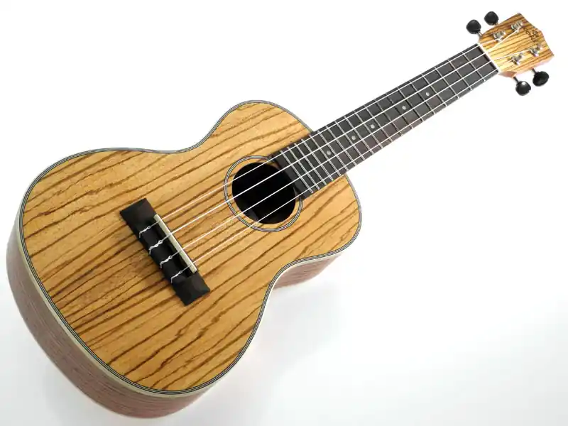 Geprüft koki'o Ukulele Zebrano Concert U-LZWLZW-C