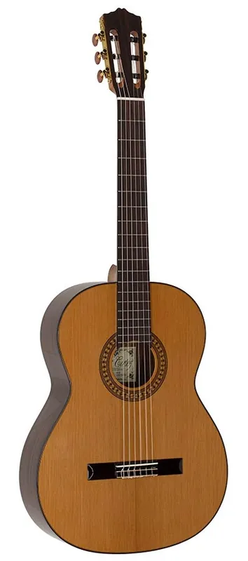 Sale Salvador Cortez CC-50 Konzertgitarre 4/4